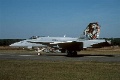J-5011 Tiger Hornet
